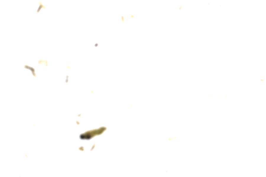 Image 87